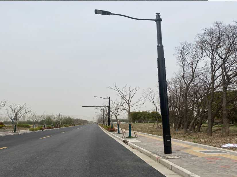 鄄城县上海综合杆 太阳能路灯工程